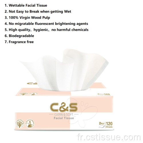 2 pli 120 feuilles de tissu facial